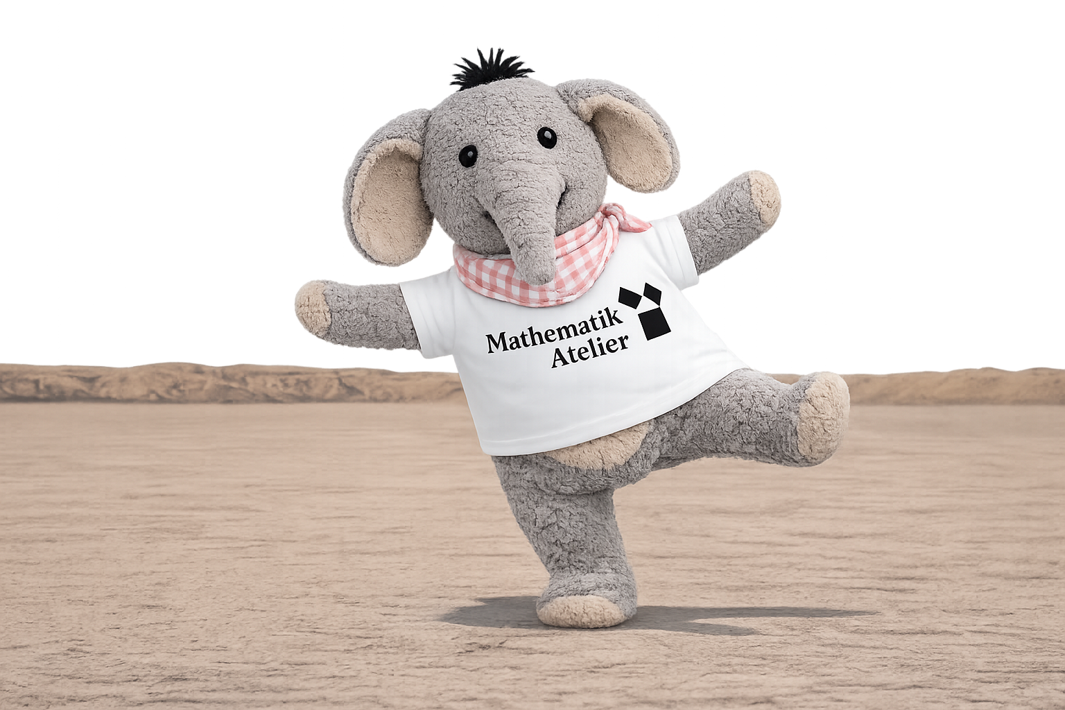 Einzel Nachhilfe Mathematik Regensburg – Lukas