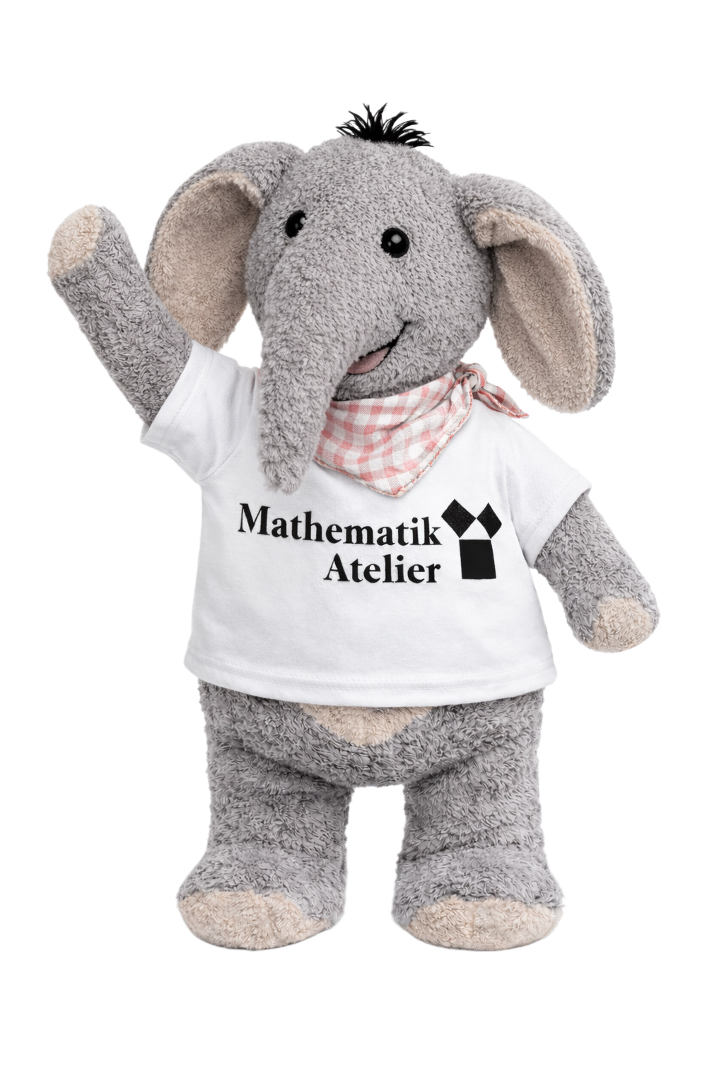 Lukas, Maskottchen vom Mathematik Atelier